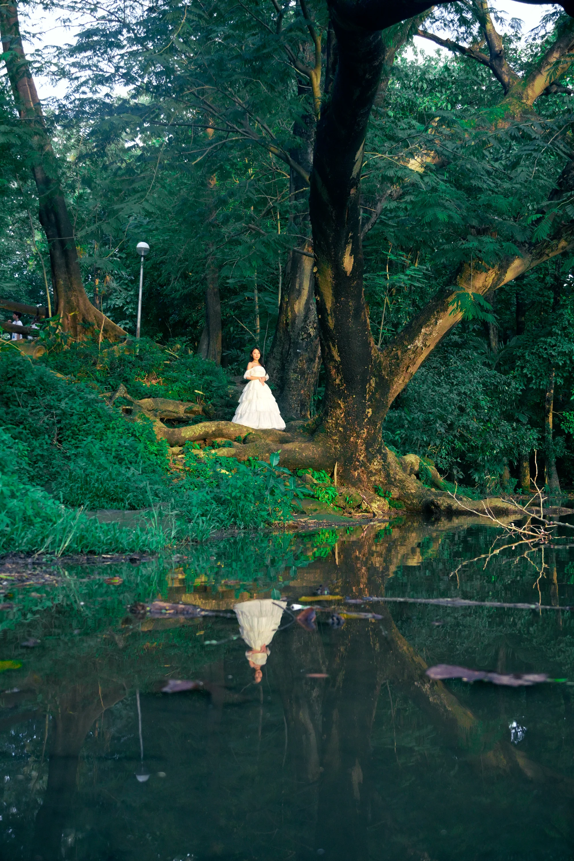A portrait beneath a large tree, reflected in a still garden pond.